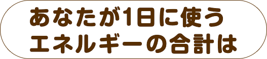 あなたが1日に使うエネルギーの合計は